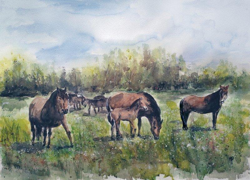 Nature Reserve Zasavica, Painting Roganovic Marija