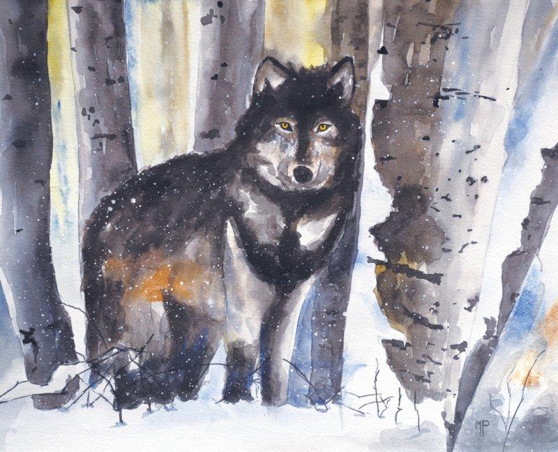 Lone wolf, Painting Roganovic Marija