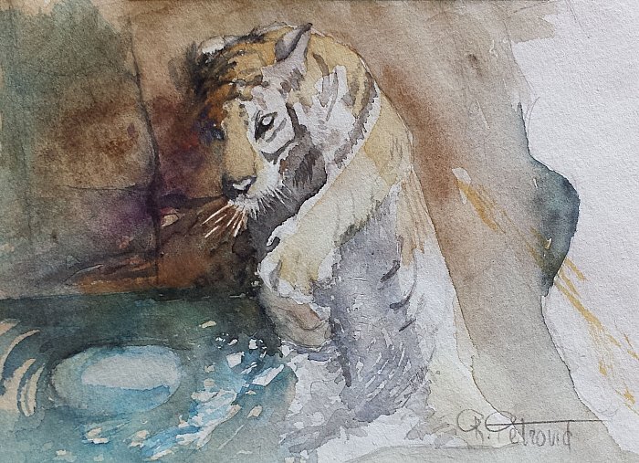 Tigar 1, Slika Petrović Radmila