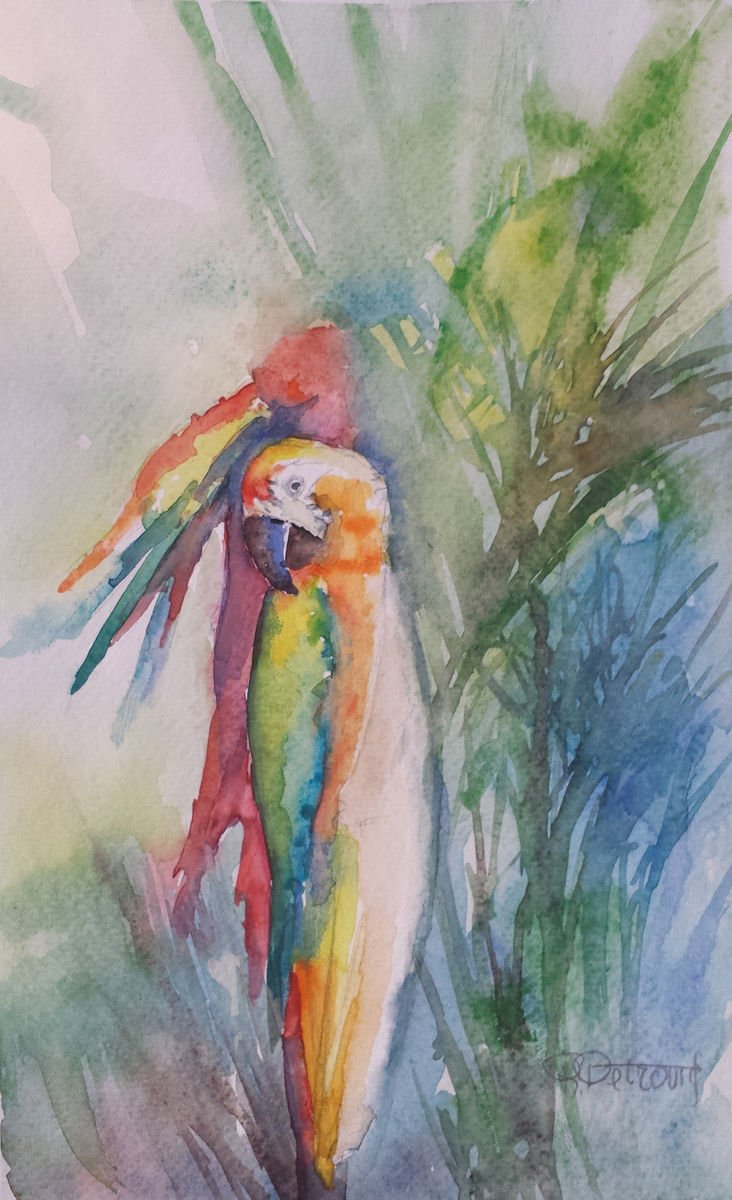 Parrot 1, Painting Petrović Radmila