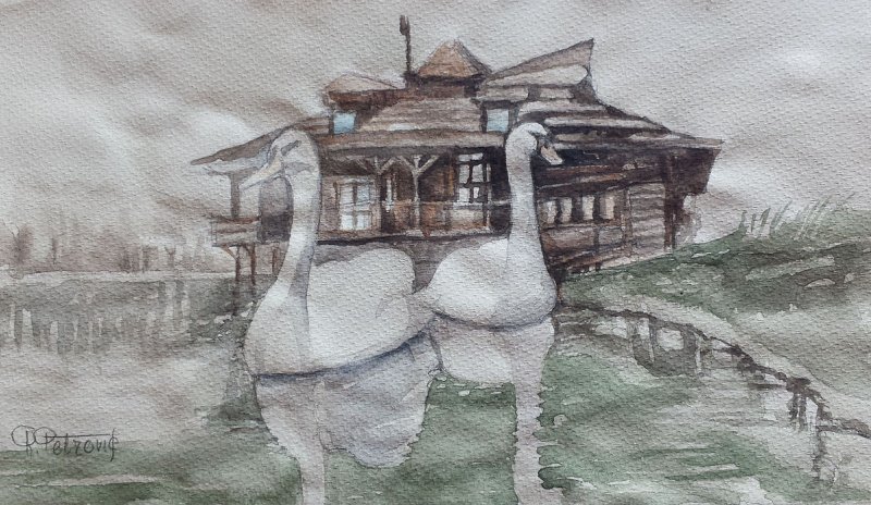 Swans 1, Painting Petrović Radmila