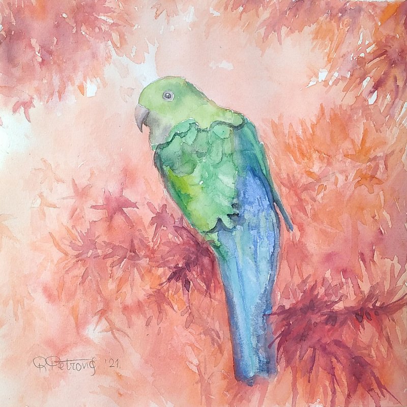 Parrot 2, Painting Petrović Radmila