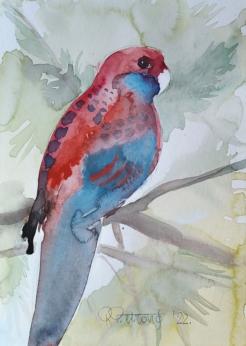 Parrot 4, Painting Petrović Radmila