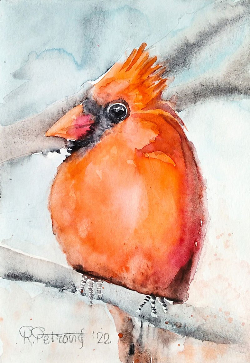 Cardinal, Painting Petrović Radmila