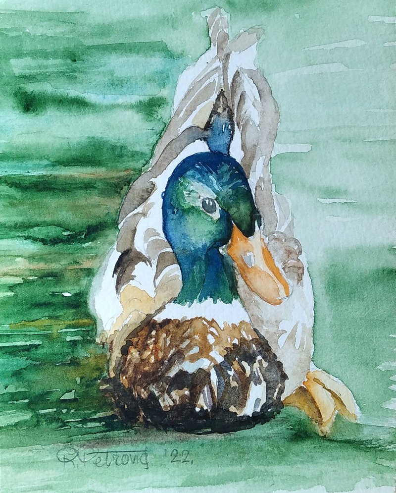 Duck 1, Painting Petrović Radmila