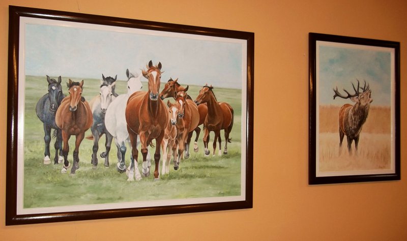 Gallop, Painting Fekete Kormos Kinga