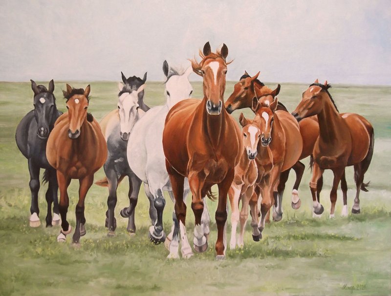 Gallop, Painting Fekete Kormos Kinga