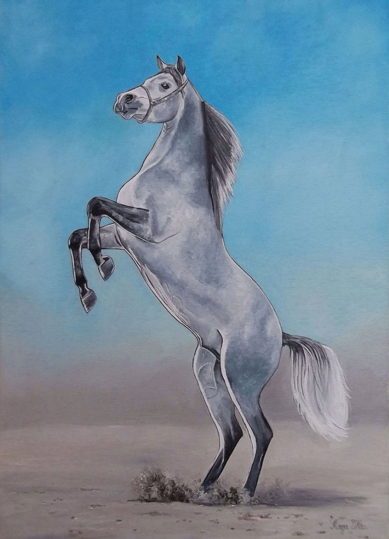 Gray horse, Painting Fekete Kormos Kinga