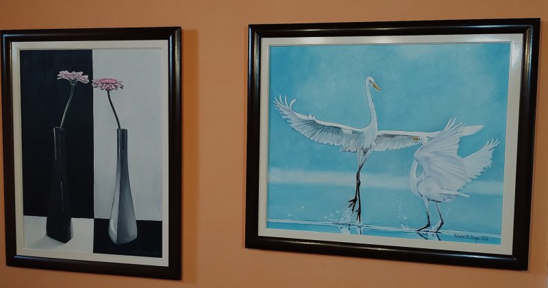 Susret na vodi, Slika Fekete Kormos Kinga