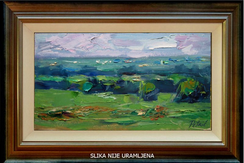 Panoramic view of the fields, Painting Petrić Gordan