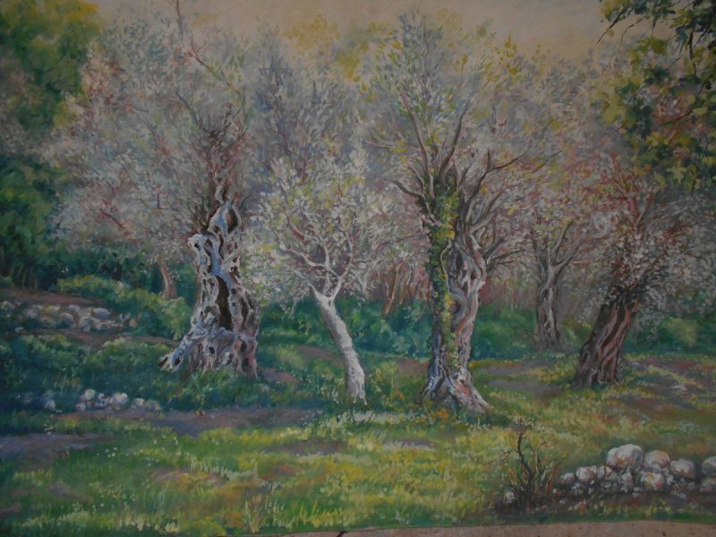 Wood of olive, Painting Andjelkovic Mirjana