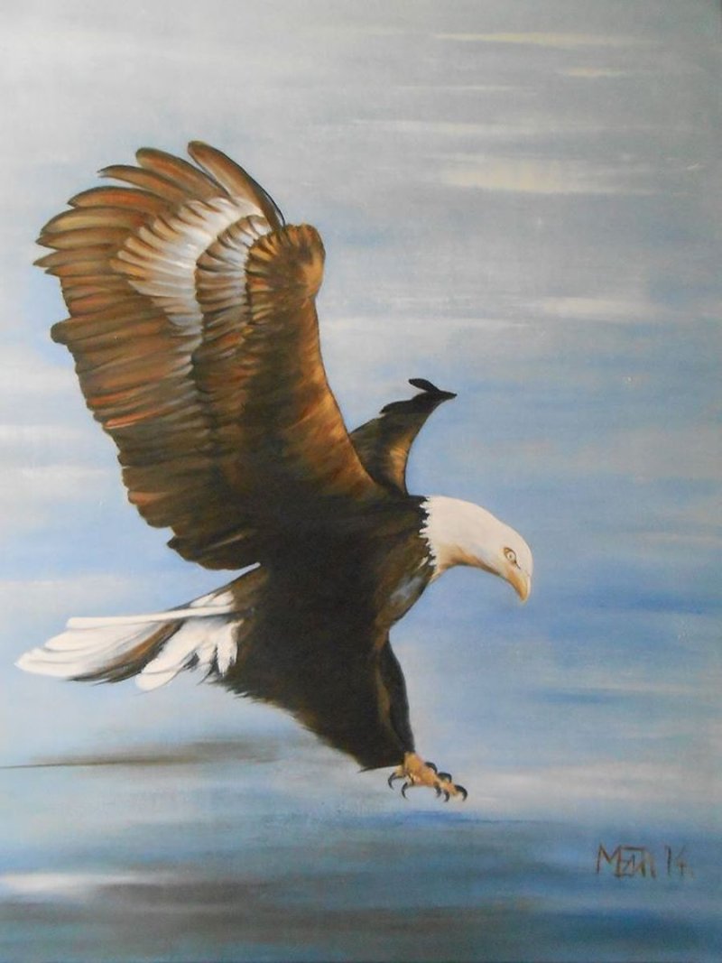 River hawk, Painting Medić Zoran