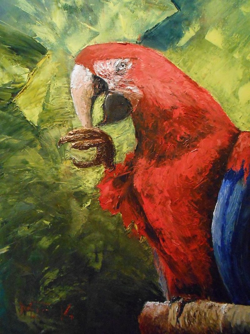 Macaw, Painting Medić Zoran