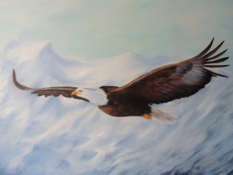 American eagle, Painting Medić Zoran