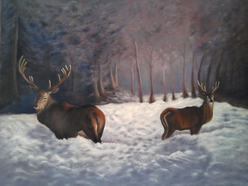 Dears in snow, Painting Medić Zoran