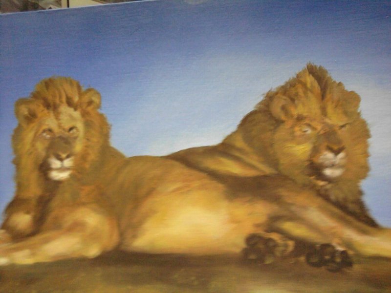 Lions, Painting Medić Zoran