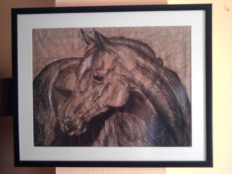 Horse, Drawing Medić Zoran