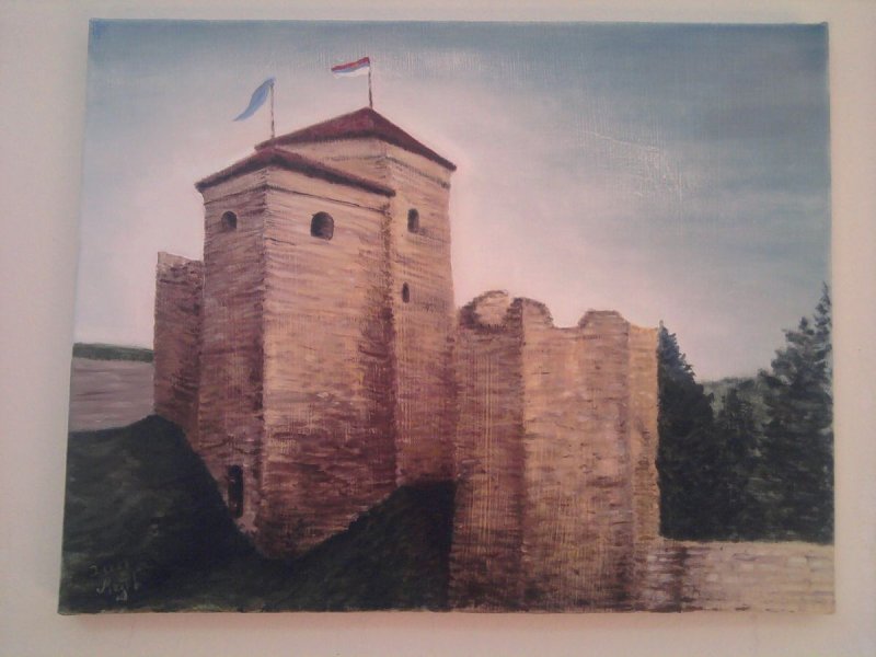 Vršačka kula, Slika Medić Zoran