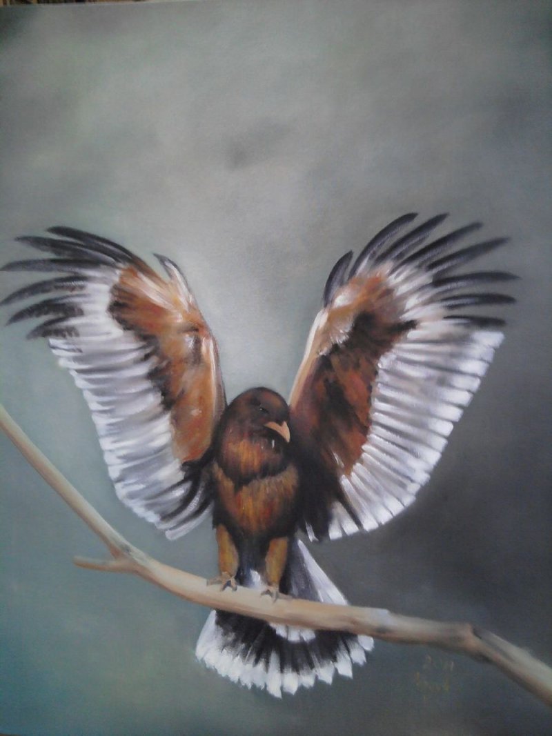 Eagle, Painting Medić Zoran