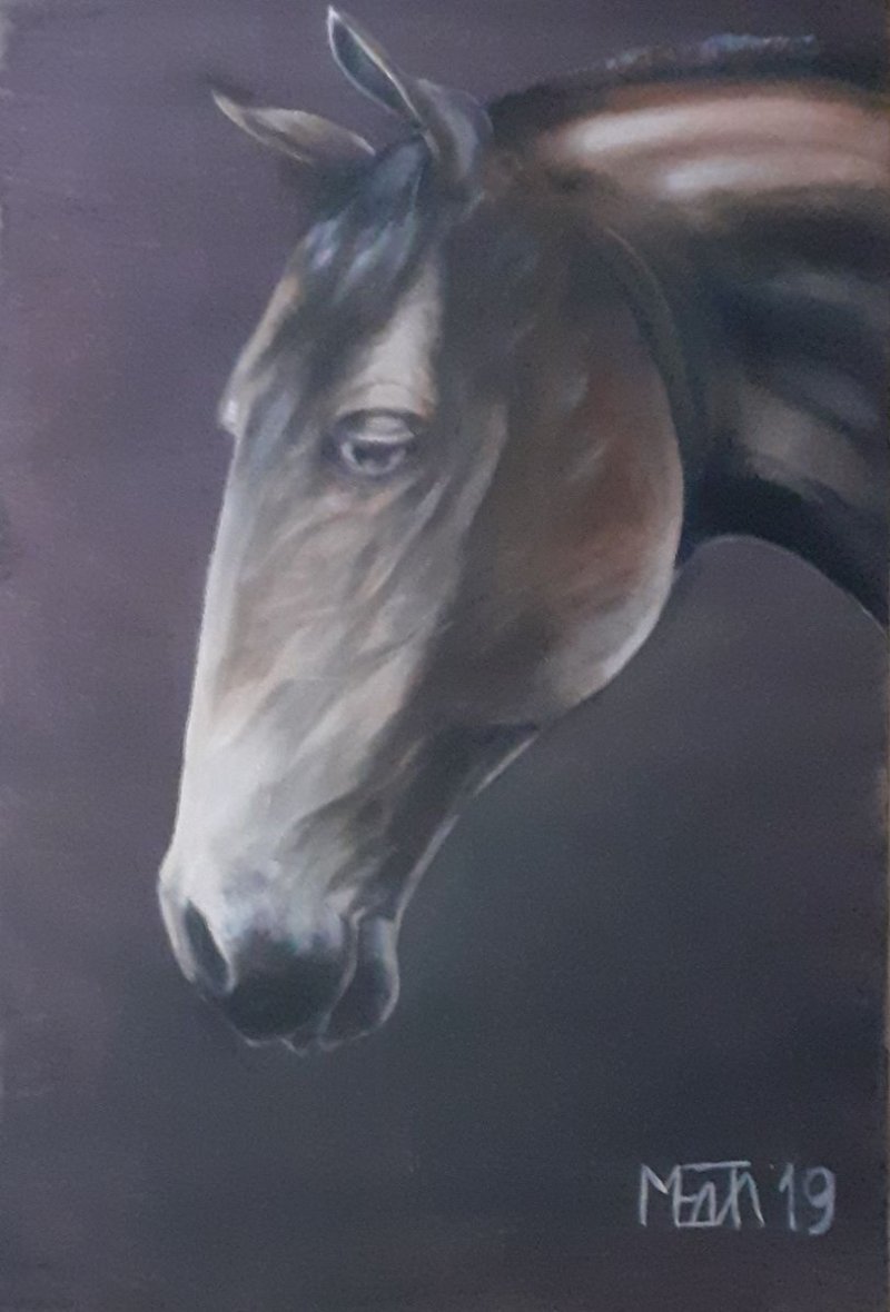 Horse`s head, Painting Medić Zoran