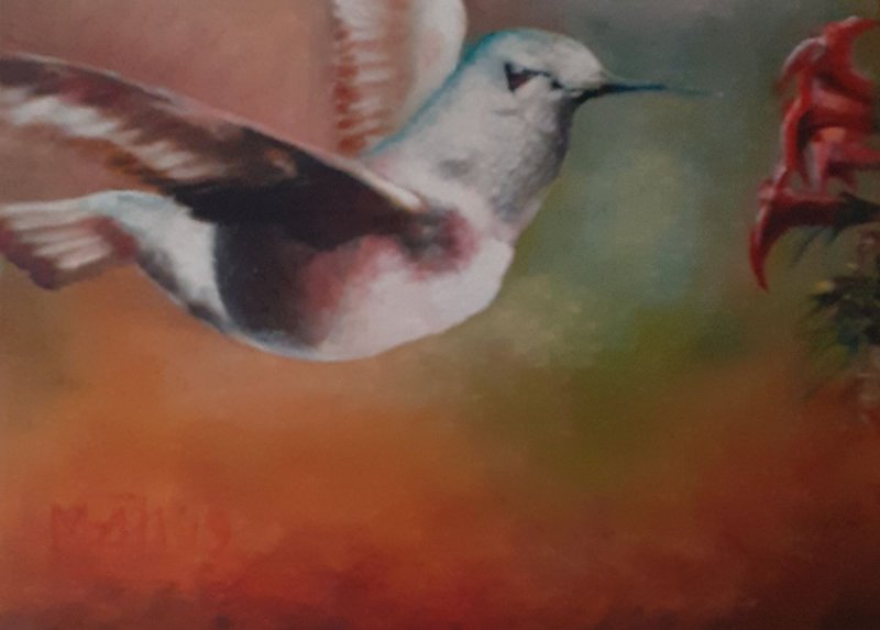 Colibri, Painting Medić Zoran