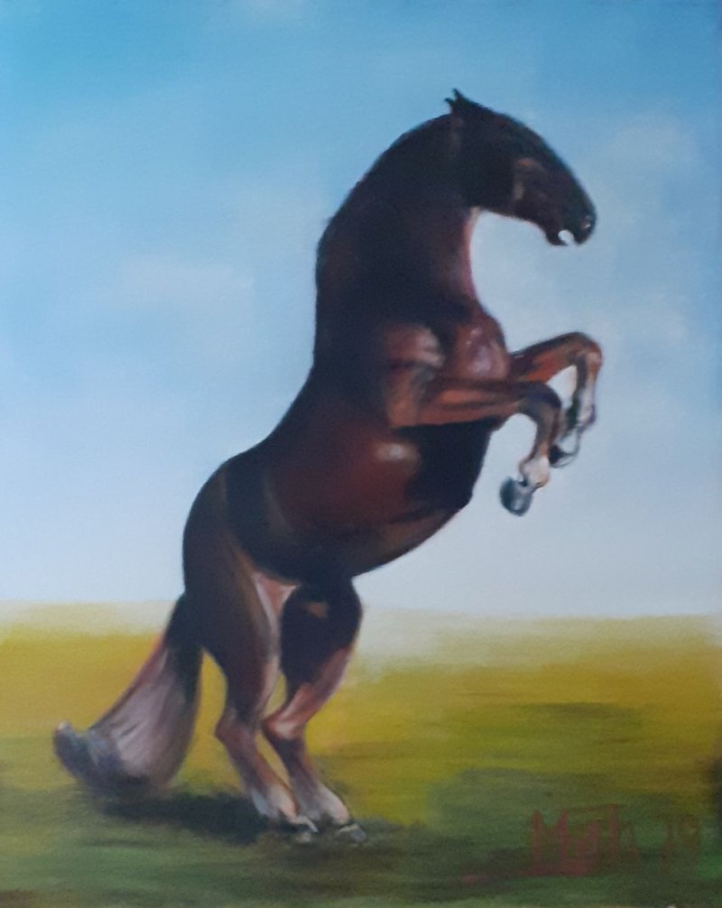 The horse, Painting Medić Zoran