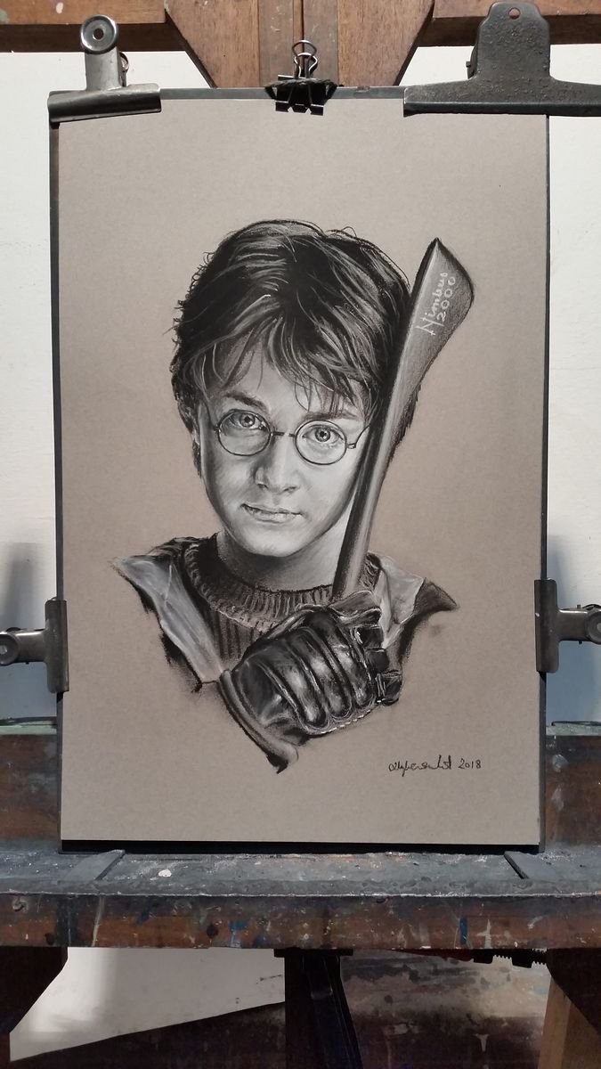 Portreti Harry Potter, Slika PORTRETI CVELE
