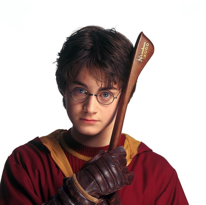 Portreti Harry Potter, Slika PORTRETI CVELE