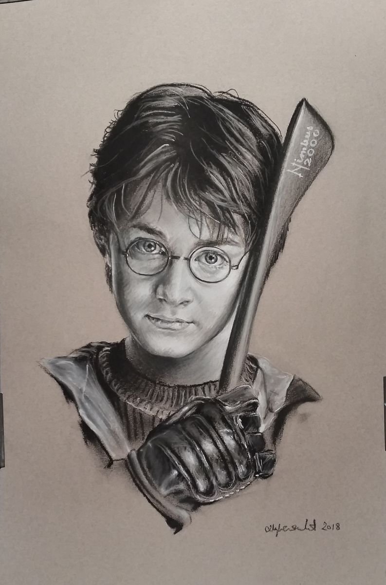 Portreti Harry Potter, Slika PORTRETI CVELE