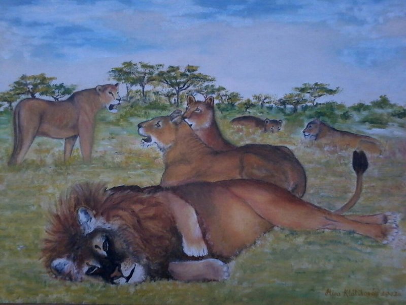 Lions, Painting Klaćik Mira