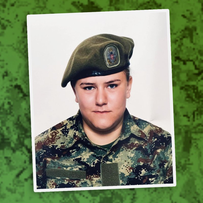 VOJNIK ANĐELA - PORTRET KARIKATURA, Slika ĐUKAN ~ KARIKATURE