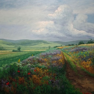 Polje lavande