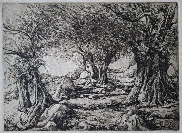 Olives, Painting Zeljko Ivanovic