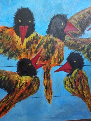 In Room: Birds