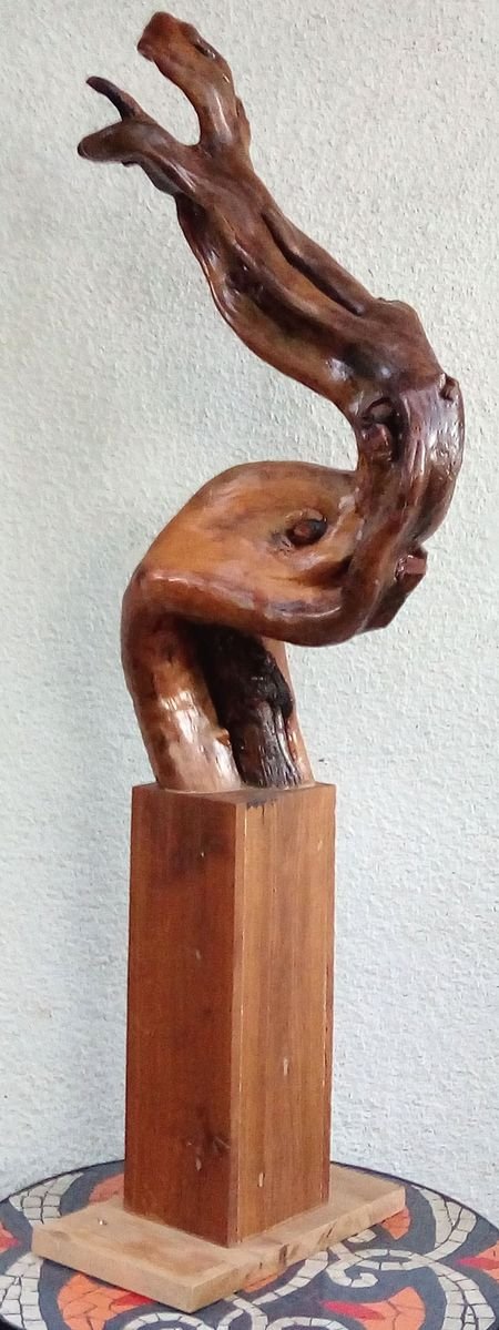 Cobra