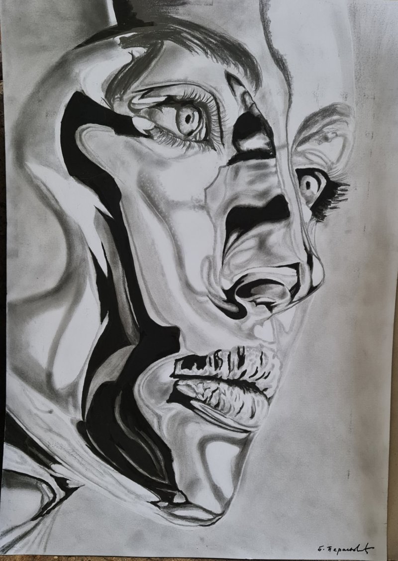 Kiborg, Drawing Peranovic Branislav