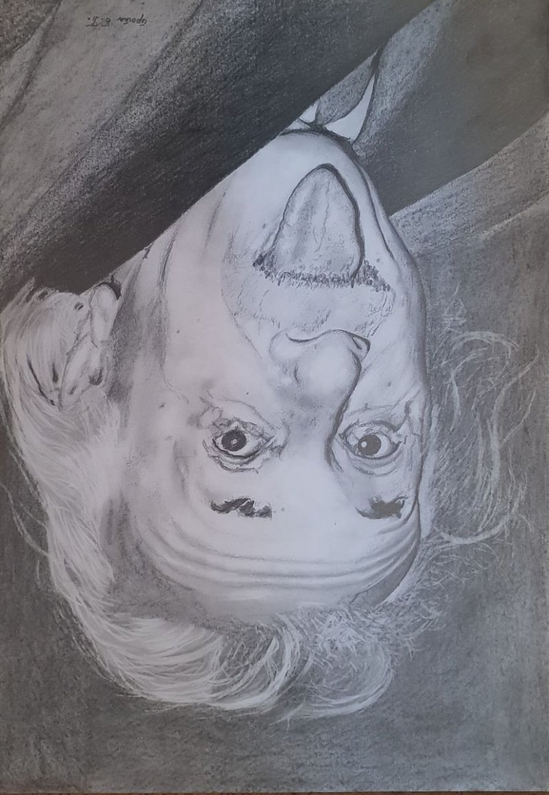 Ajnstajn, Drawing Peranovic Branislav