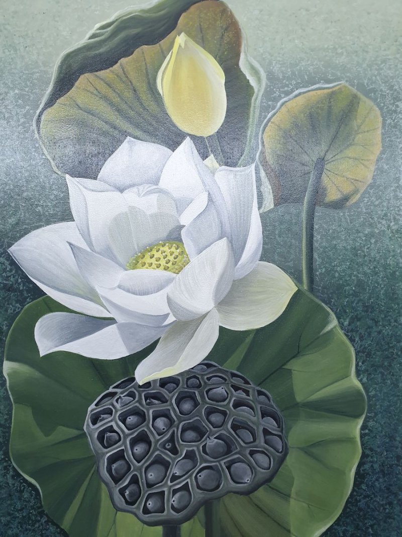 BELI LOTUS, Slika Žužana Murenji Domonkoš