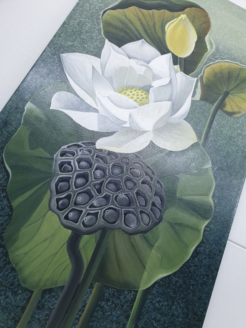 BELI LOTUS, Slika Žužana Murenji Domonkoš