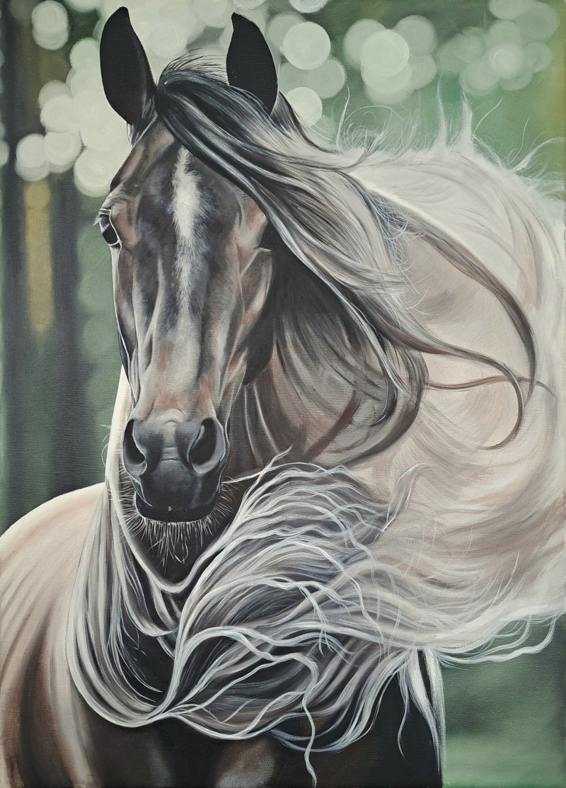 The wind of freedom, Painting Križanović Marijana