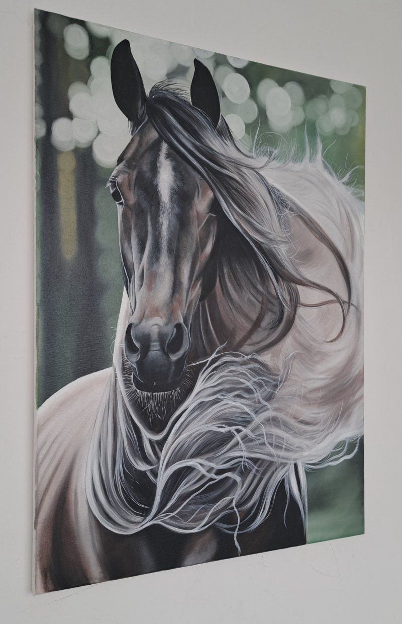 The wind of freedom, Painting Križanović Marijana