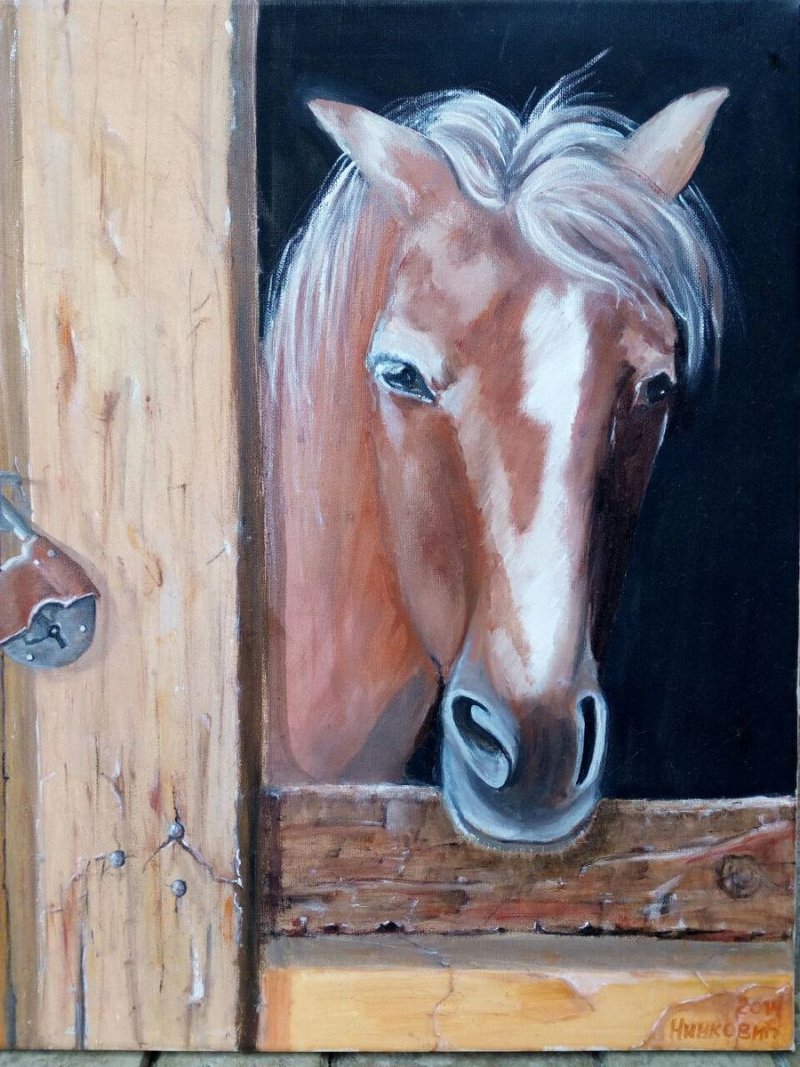 What`s new, Painting Ninković Zoran