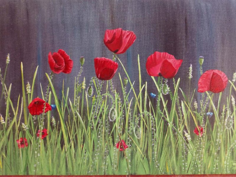 Flower of the poppy, Painting Ninković Zoran