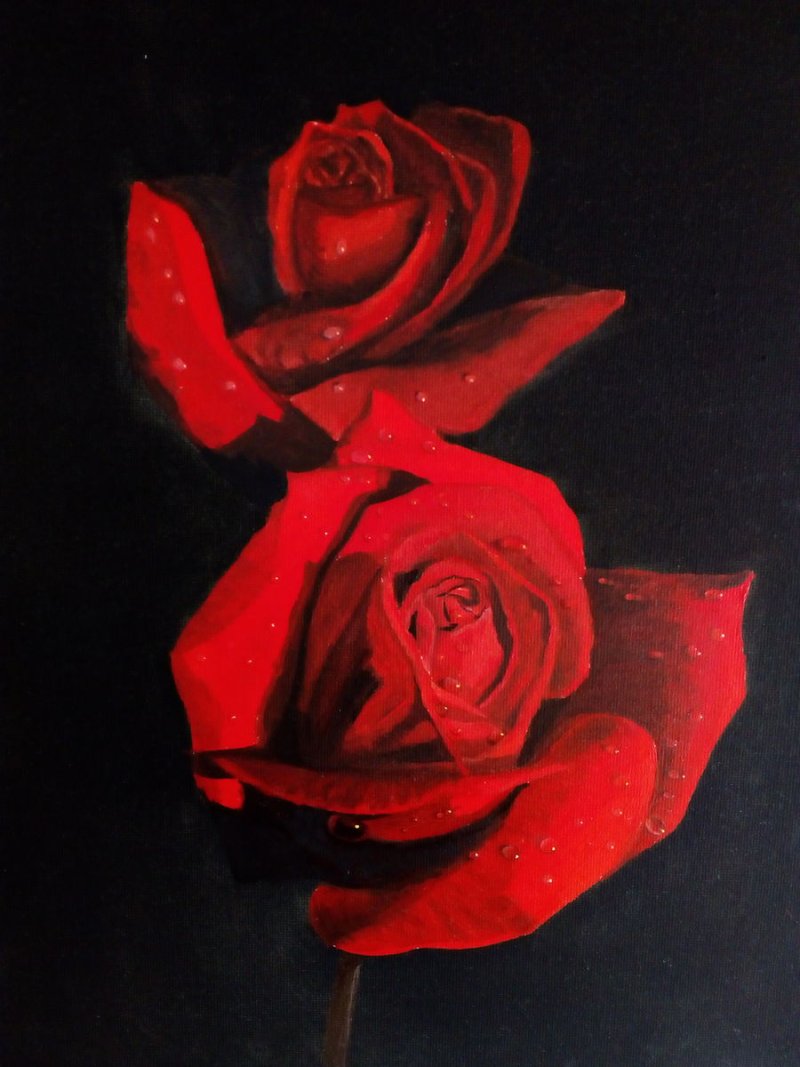 rose, Painting Ninković Zoran
