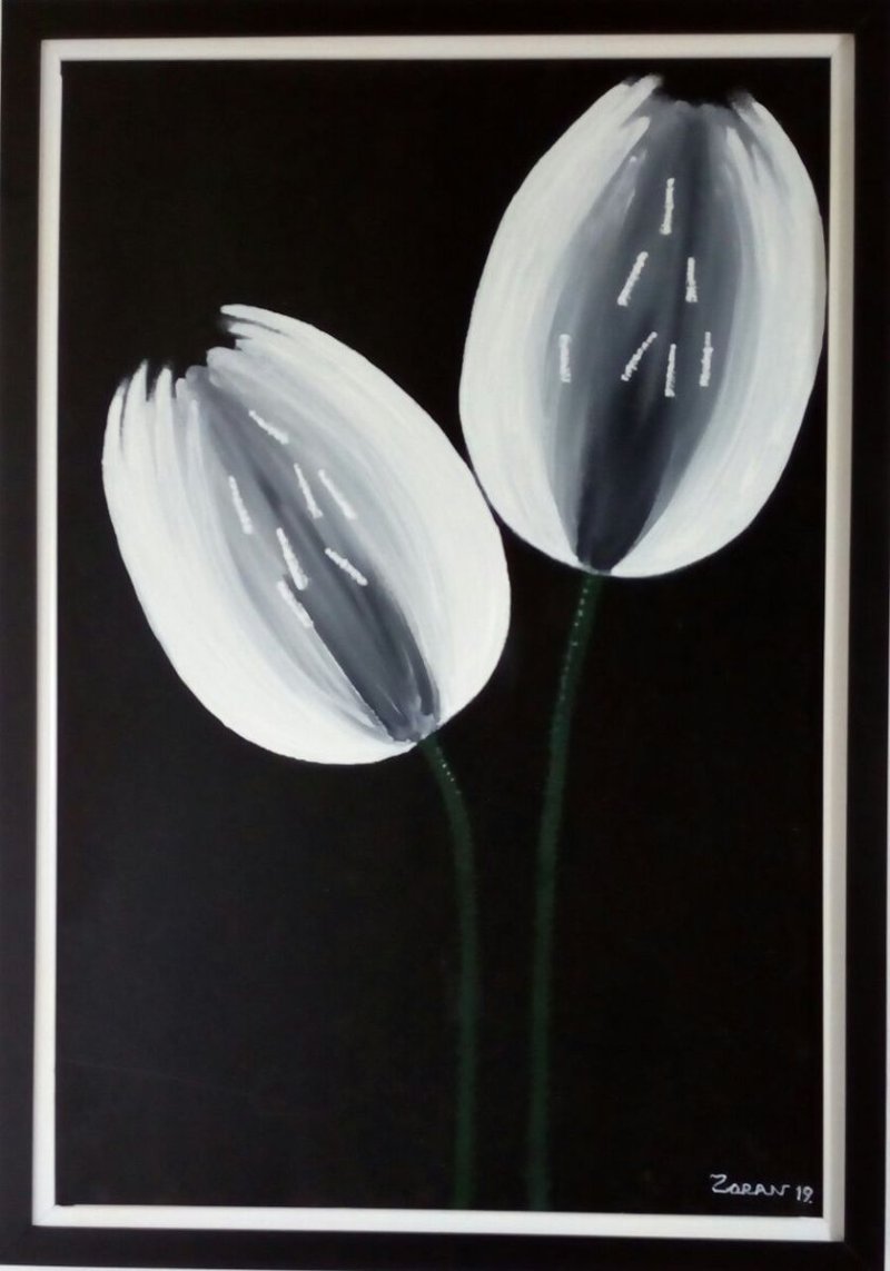 A pair of white tulips, Painting Ninković Zoran