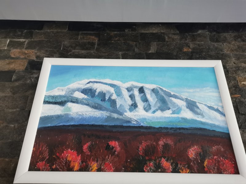 Dinara mountine, Painting Nikolina Generalović