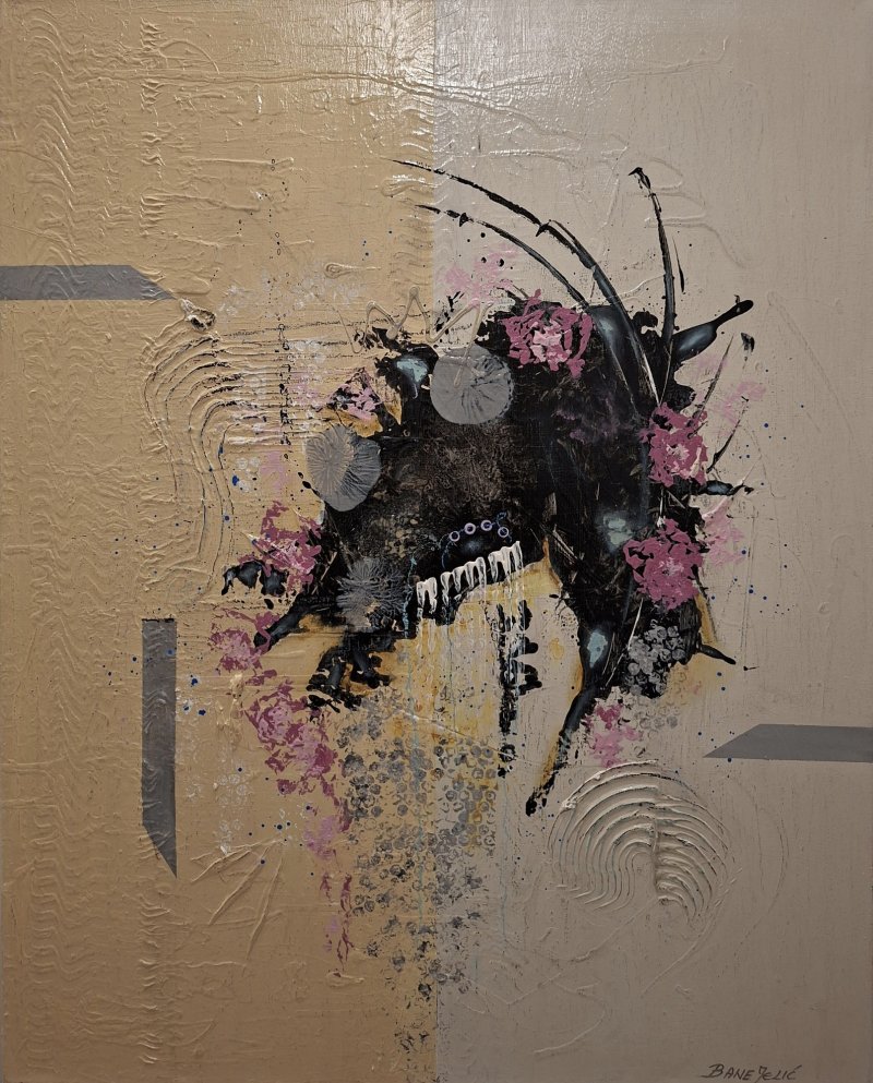 Cupids arrows, Slika Jelic Bane