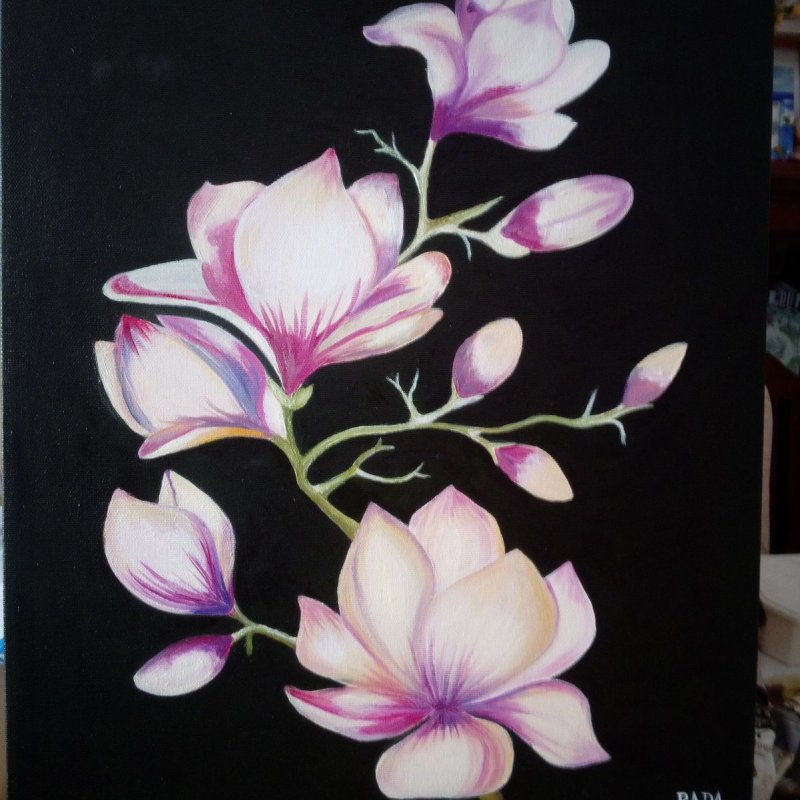 Magnolia, Handicraft Stevanović Rada