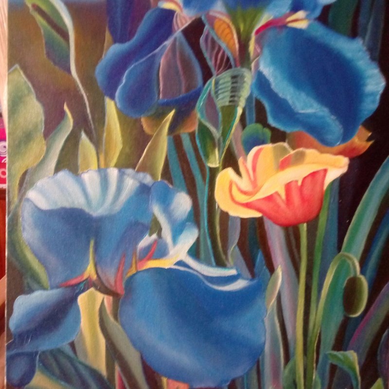 Orris, Handicraft Stevanović Rada