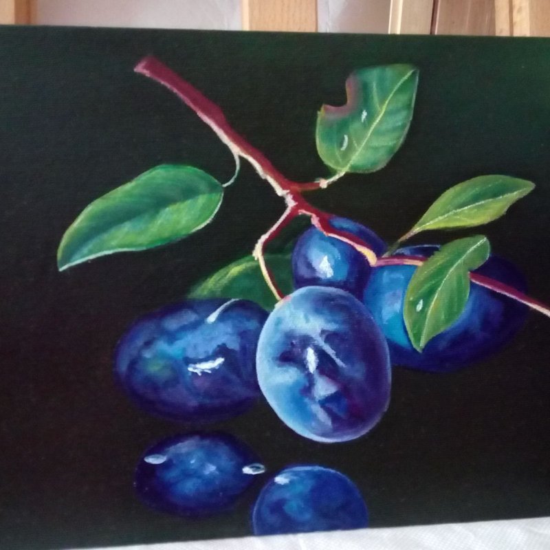 Plums, Handicraft Stevanović Rada